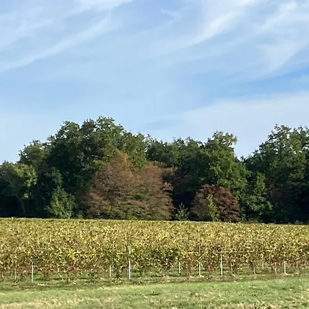 Le Chai Des Annereaux בית נופש