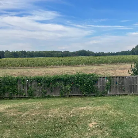 Le Chai Des Annereaux בית נופש Saint-Sulpice-de-Cognac